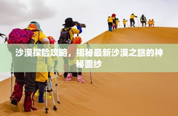 沙漠探险攻略，揭秘最新沙漠之旅的神秘面纱