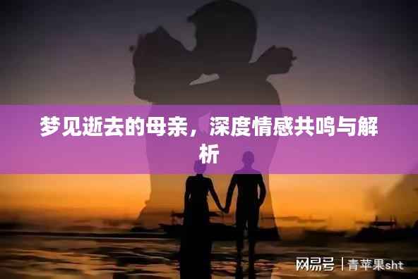 梦见逝去的母亲，深度情感共鸣与解析