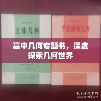 高中几何专题书，深度探索几何世界