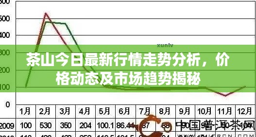 茶山今日最新行情走势分析，价格动态及市场趋势揭秘