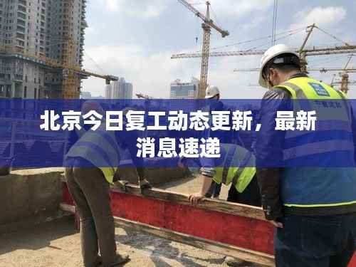 北京今日复工动态更新，最新消息速递