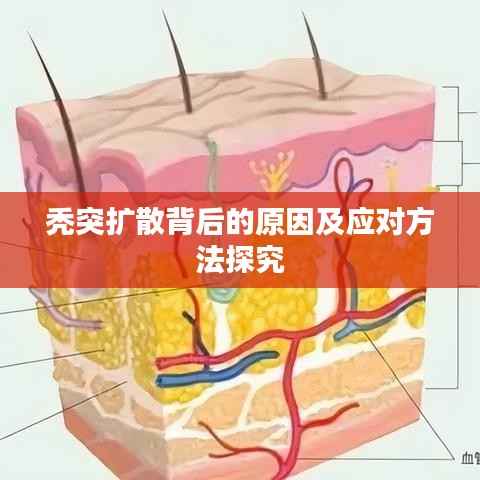秃突扩散背后的原因及应对方法探究