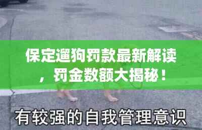 保定遛狗罚款最新解读，罚金数额大揭秘！