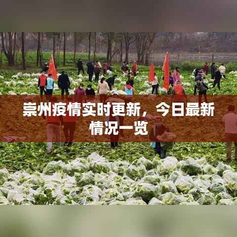 崇州疫情实时更新，今日最新情况一览