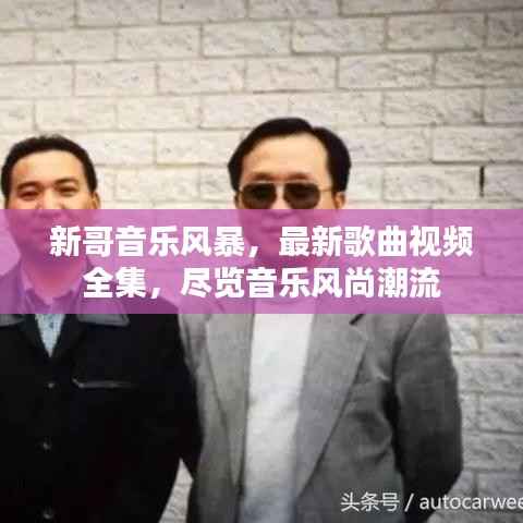 新哥音乐风暴，最新歌曲视频全集，尽览音乐风尚潮流