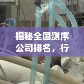 揭秘全国测序公司排名，行业深度分析重磅来袭！
