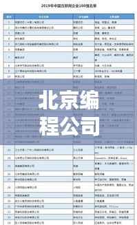 北京编程公司排名揭晓，权威榜单，优质企业一网打尽！