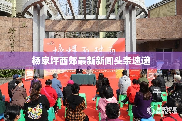 杨家坪西郊最新新闻头条速递