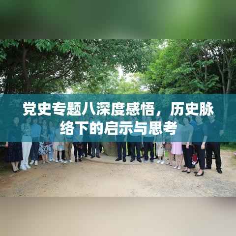 党史专题八深度感悟，历史脉络下的启示与思考
