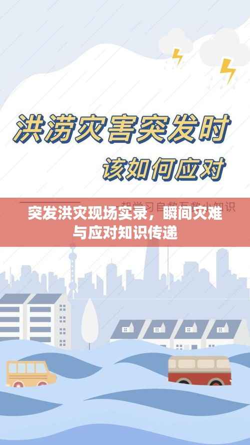 突发洪灾现场实录，瞬间灾难与应对知识传递