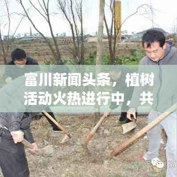 富川新闻头条，植树活动火热进行中，共建绿色家园