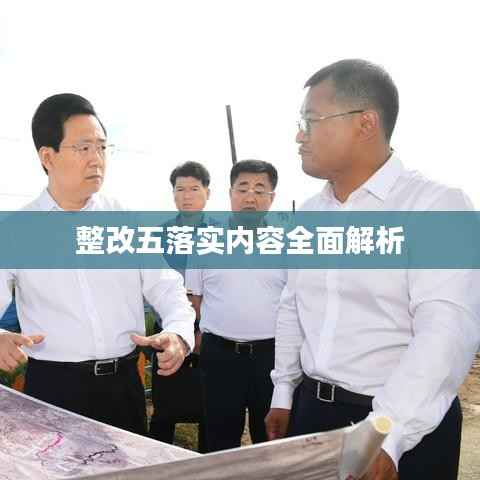 整改五落实内容全面解析