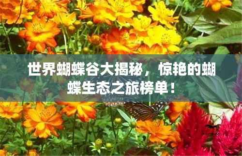 世界蝴蝶谷大揭秘，惊艳的蝴蝶生态之旅榜单！