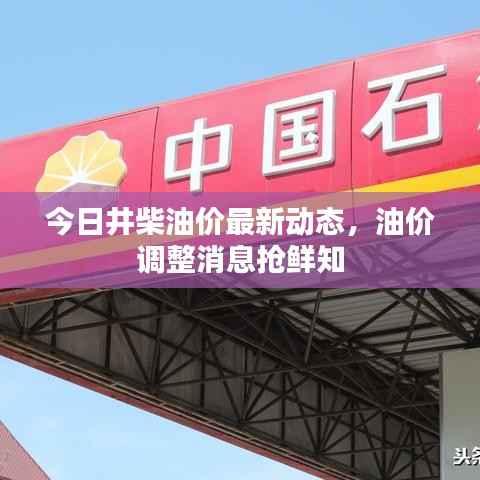 今日井柴油价最新动态，油价调整消息抢鲜知