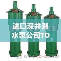 进口深井潜水泵公司TOP排名大揭秘！