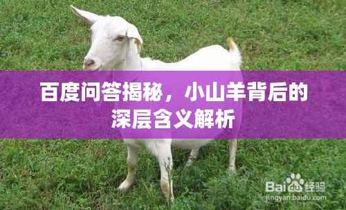 百度问答揭秘，小山羊背后的深层含义解析