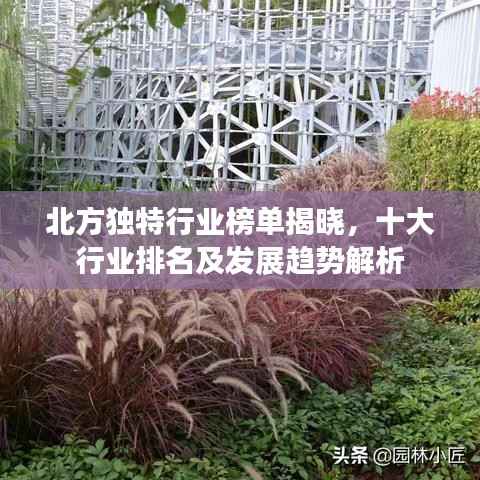 北方独特行业榜单揭晓，十大行业排名及发展趋势解析