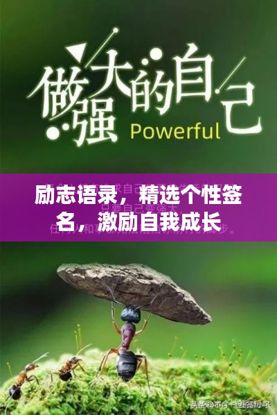 励志语录，精选个性签名，激励自我成长