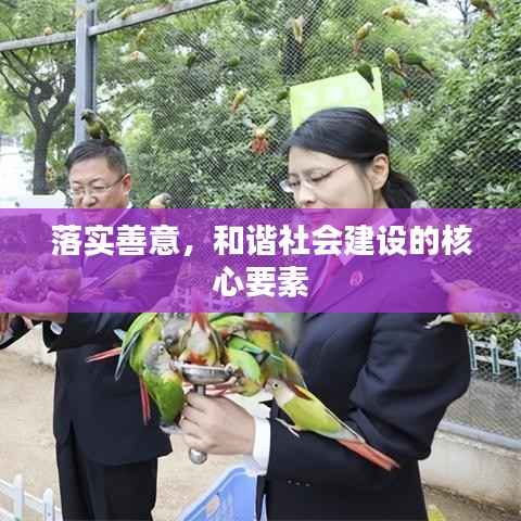 落实善意，和谐社会建设的核心要素