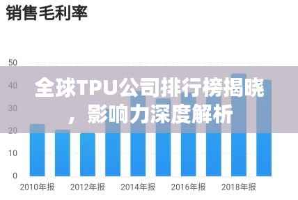 全球TPU公司排行榜揭晓，影响力深度解析