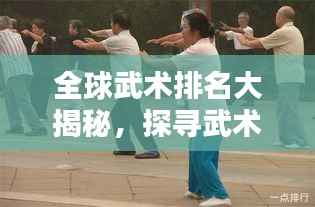 全球武术排名大揭秘，探寻武术之巅，谁领风骚？