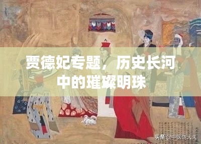 贾德妃专题，历史长河中的璀璨明珠