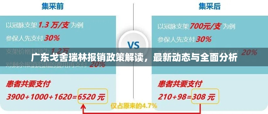 广东戈舍瑞林报销政策解读，最新动态与全面分析