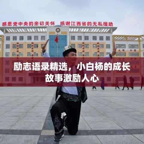 励志语录精选，小白杨的成长故事激励人心