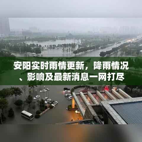 安阳实时雨情更新，降雨情况、影响及最新消息一网打尽