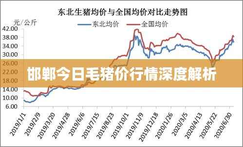 邯郸今日毛猪价行情深度解析
