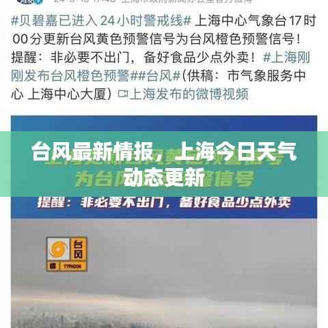 台风最新情报，上海今日天气动态更新