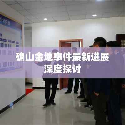 确山金地事件最新进展深度探讨