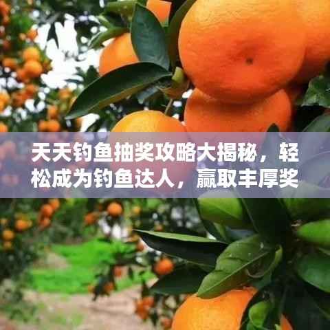 天天钓鱼抽奖攻略大揭秘，轻松成为钓鱼达人，赢取丰厚奖励秘籍！