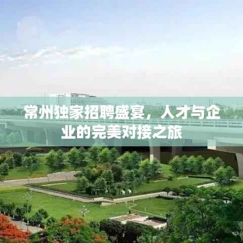 常州独家招聘盛宴，人才与企业的完美对接之旅