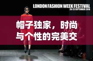 帽子独家，时尚与个性的完美交融