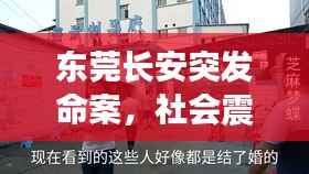 飞珠溅玉 第5页