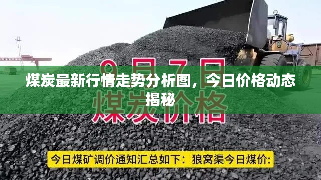煤炭最新行情走势分析图，今日价格动态揭秘