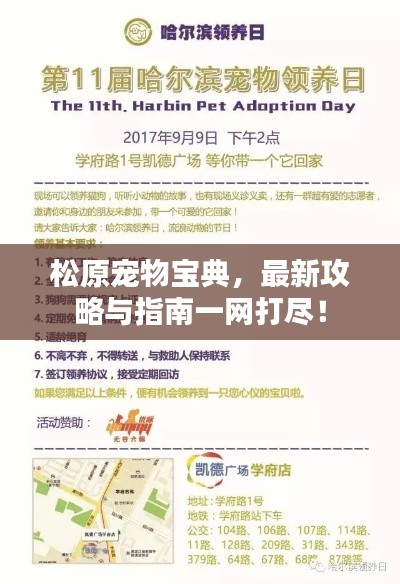 松原宠物宝典，最新攻略与指南一网打尽！