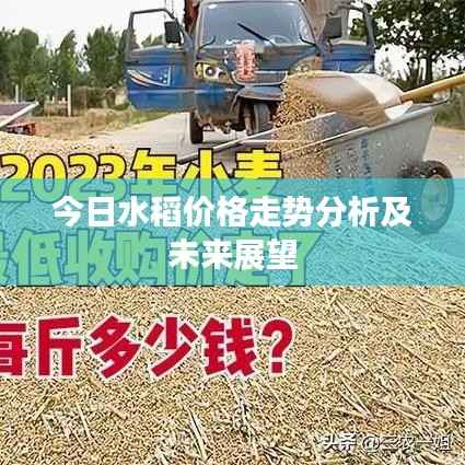 早生贵子 第4页