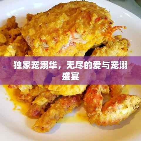 独家宠溺华，无尽的爱与宠溺盛宴