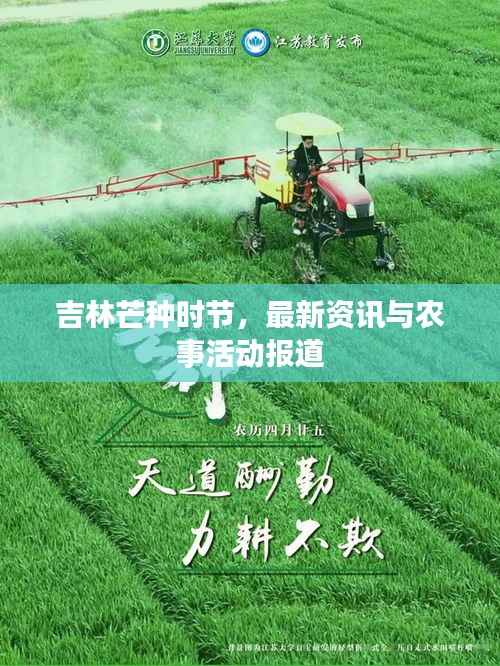 吉林芒种时节，最新资讯与农事活动报道