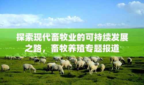 探索现代畜牧业的可持续发展之路，畜牧养殖专题报道