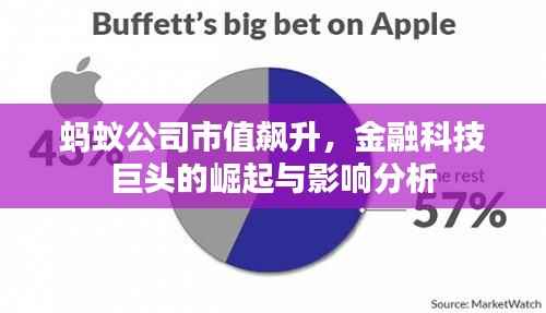 蚂蚁公司市值飙升，金融科技巨头的崛起与影响分析