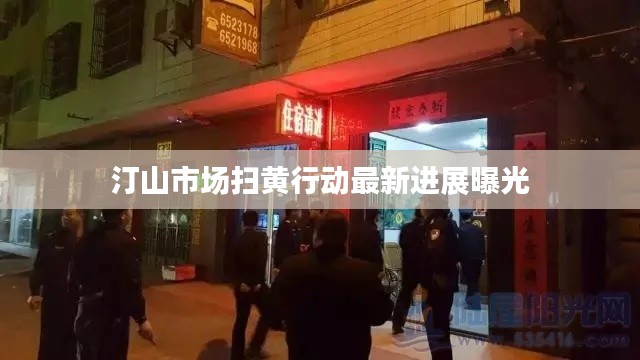 汀山市场扫黄行动最新进展曝光