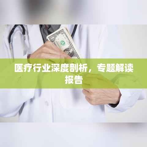 医疗行业深度剖析，专题解读报告