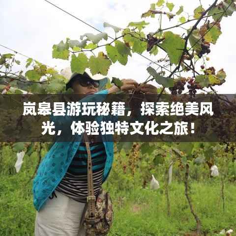 岚皋县游玩秘籍，探索绝美风光，体验独特文化之旅！
