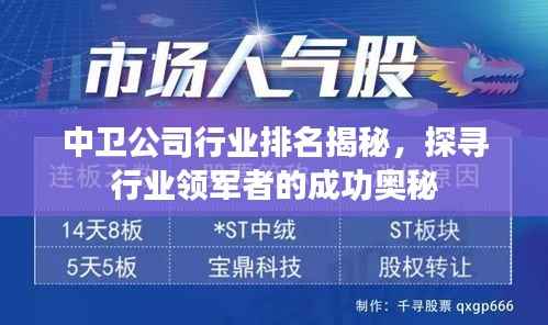 中卫公司行业排名揭秘，探寻行业领军者的成功奥秘