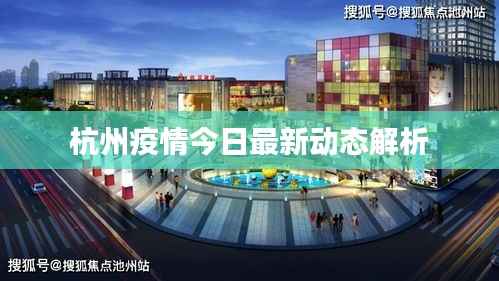 杭州疫情今日最新动态解析