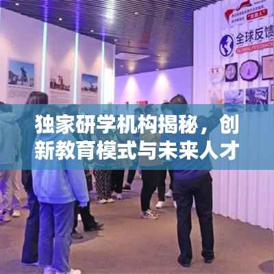 独家研学机构揭秘，创新教育模式与未来人才培养新路径