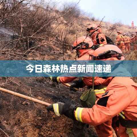 一言九鼎 第4页